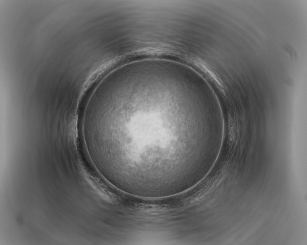 X0000113590486200909181335