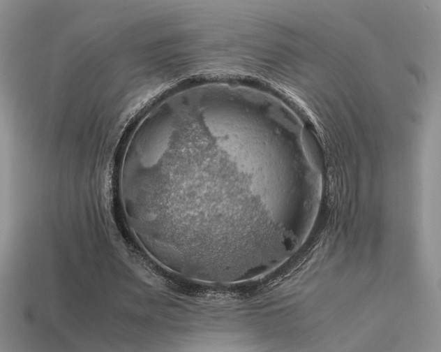 X0000113590487200909181335