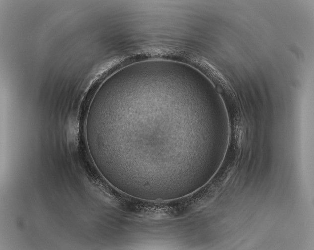 X0000113590488200909181335