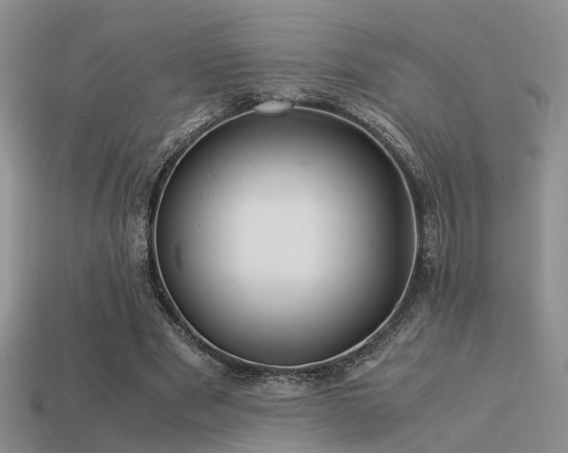 X0000113590489200909181335