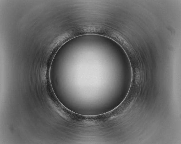 X0000113590490200909181335