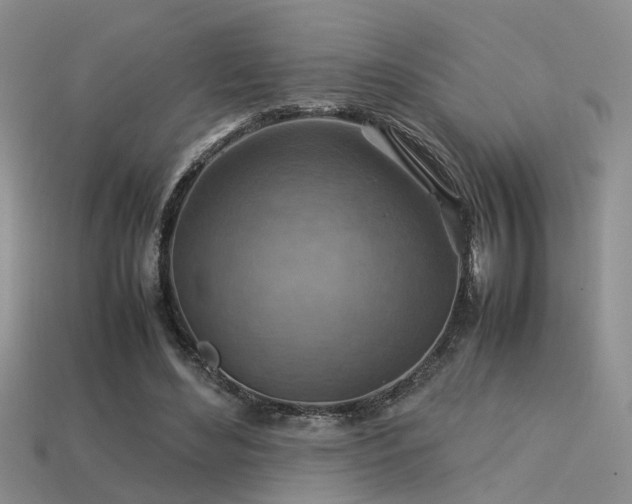 X0000113590492200909181334