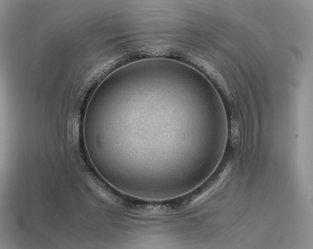 X0000113590493200909181334