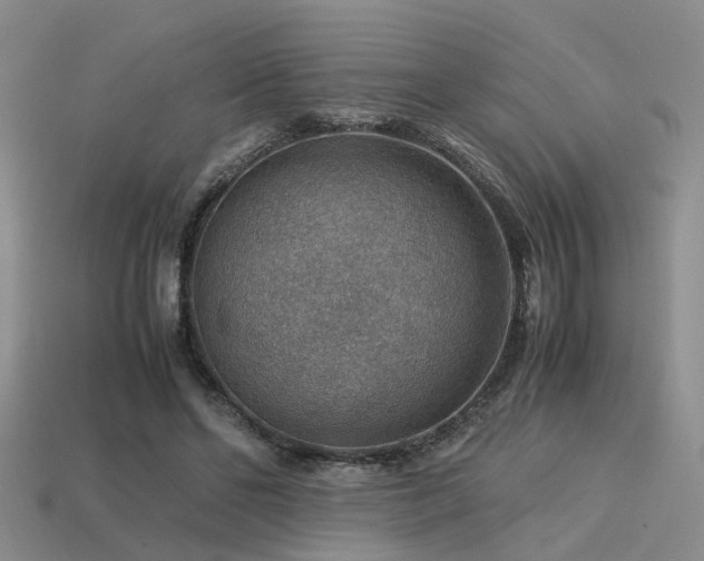 X0000113590494200909181334