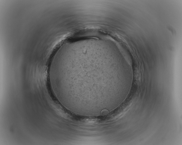 X0000113590495200909181334