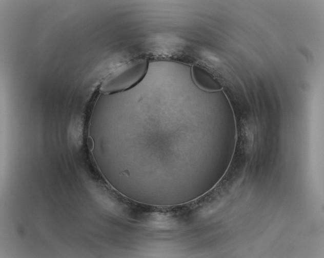 X0000113590496200909181334