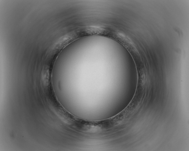 X0000113590498200909181334