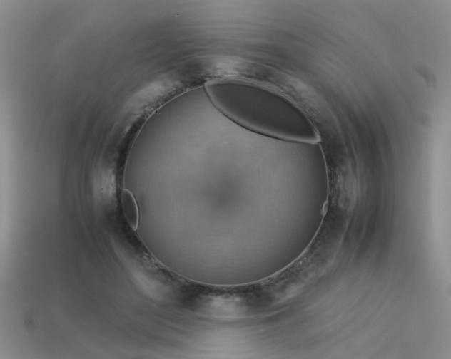 X0000113590500200909181334