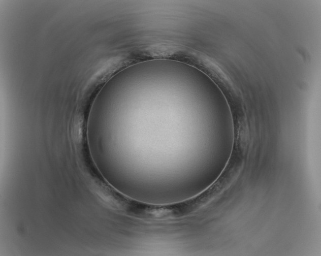 X0000113590501200909181334