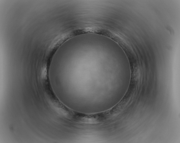 X0000113590502200909181334