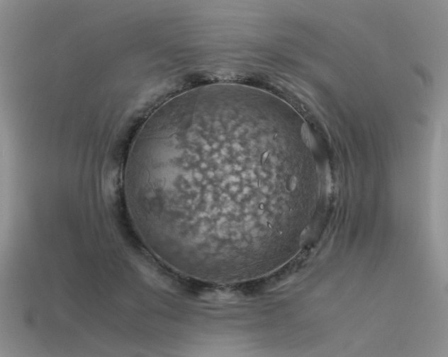 X0000113590503200909181334