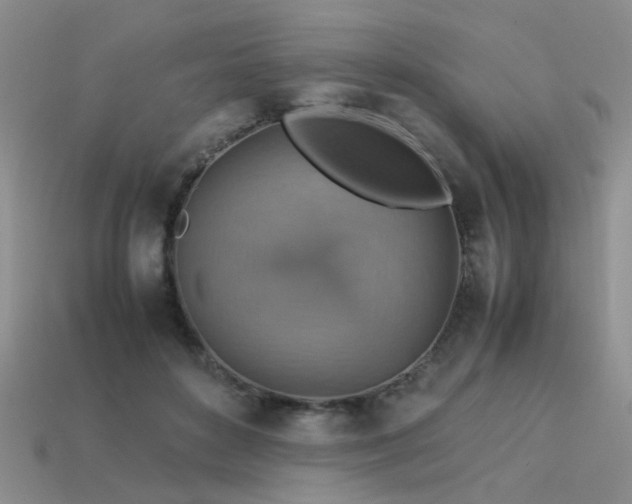 X0000113590504200909181334