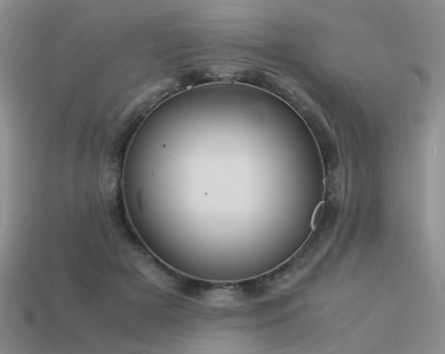 X0000113590505200909181334