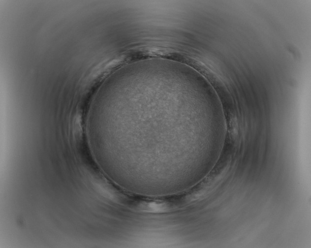 X0000113590506200909181334