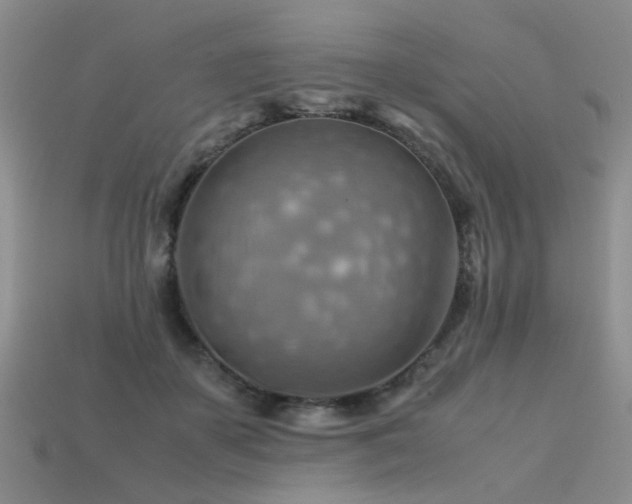 X0000113590507200909181334