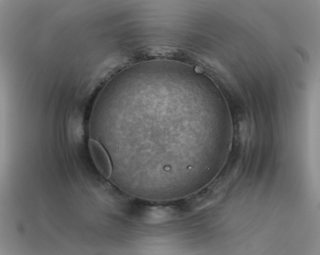 X0000113590508200909181334