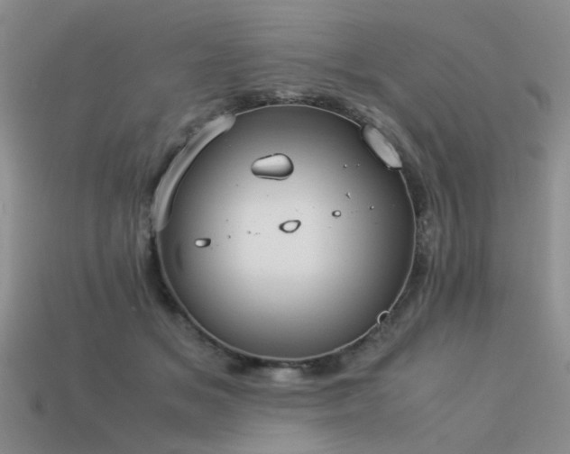 X0000113590509200909181334