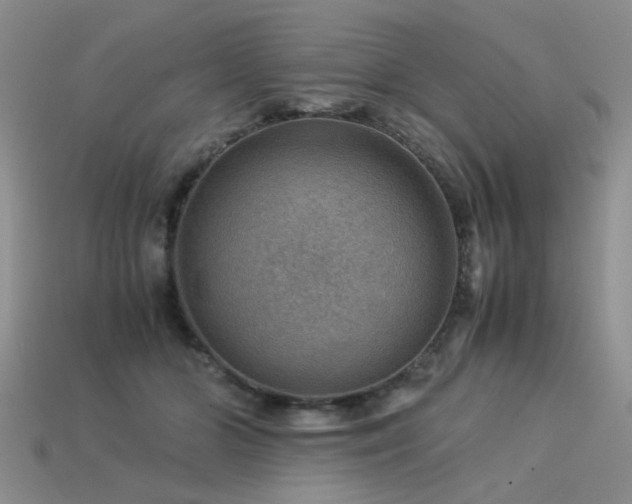 X0000113590510200909181334