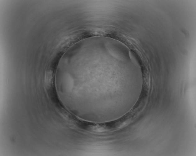 X0000113590511200909181334