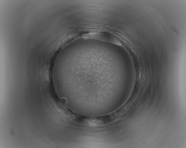 X0000113590512200909181334