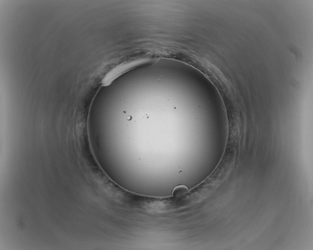 X0000113590513200909181334