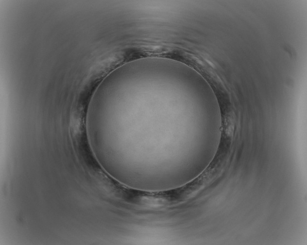 X0000113590515200909181334