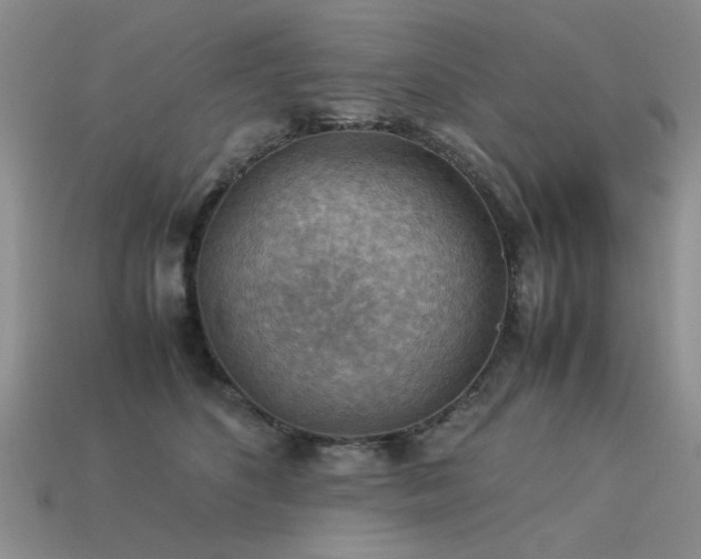 X0000113590516200909181334