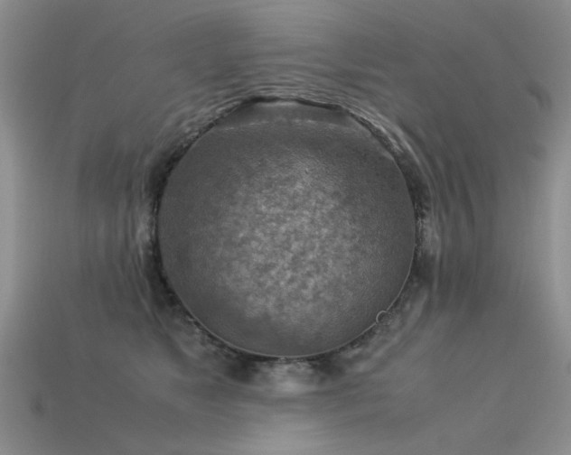 X0000113590517200909181334