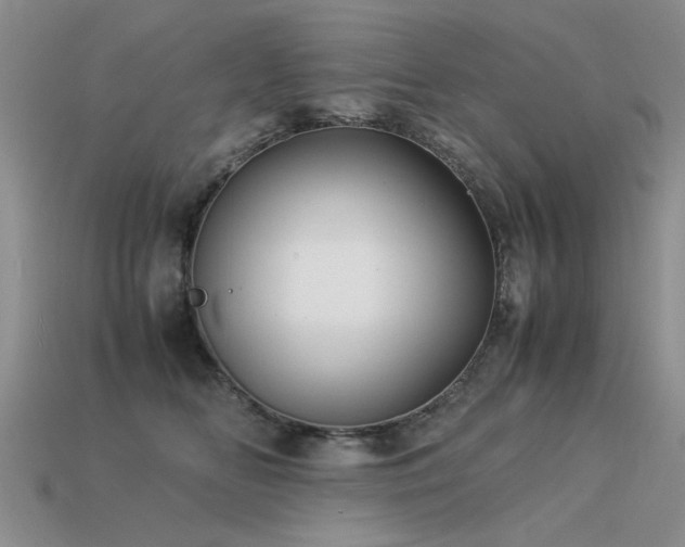 X0000113590518200909181334