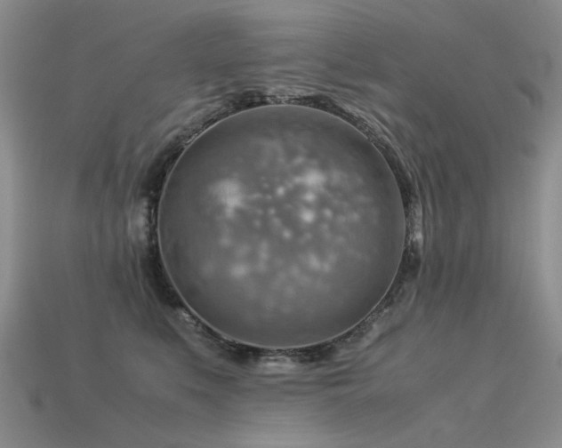 X0000113590519200909181334