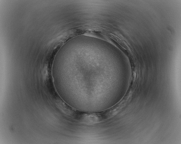 X0000113590520200909181334