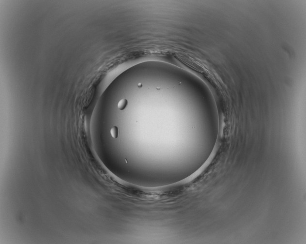 X0000113590521200909181334