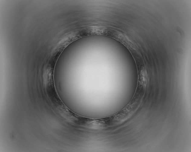 X0000113590522200909181334