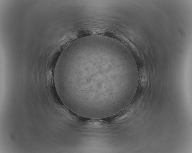 X0000113590523200909181334