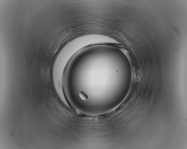 X0000113590524200909181334