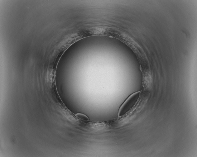 X0000113590525200909181334