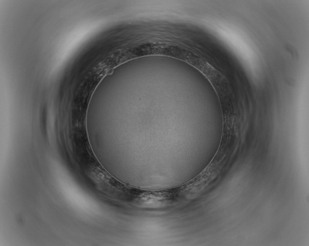 X0000113590526200909181334