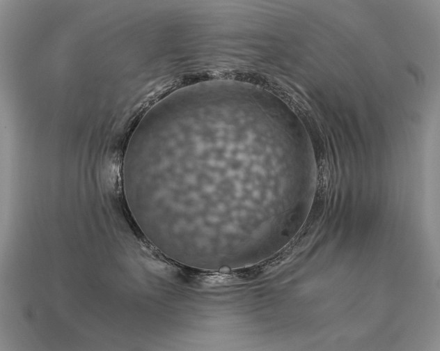 X0000113590527200909181334