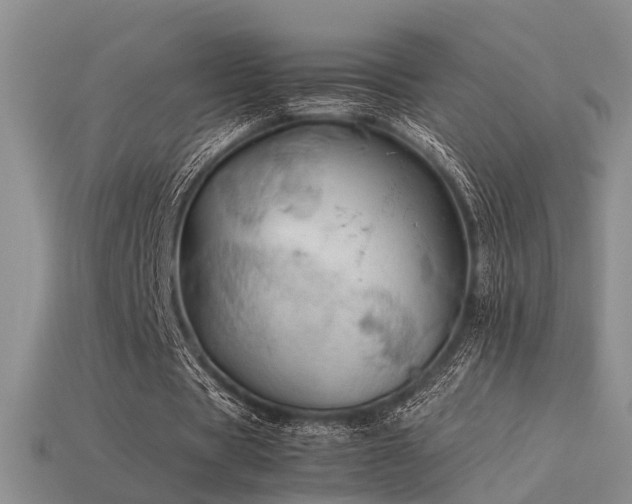 X0000113590529200909181333