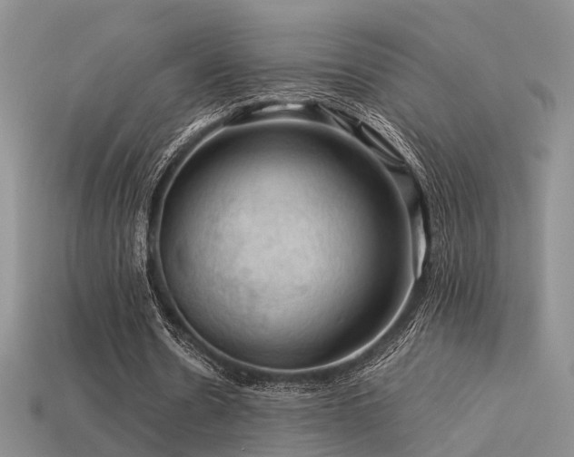 X0000113590530200909181333