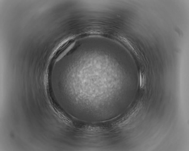 X0000113590531200909181333