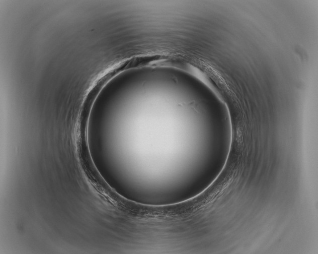 X0000113590532200909181333