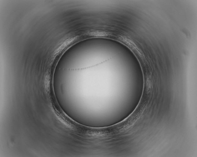 X0000113590533200909181333