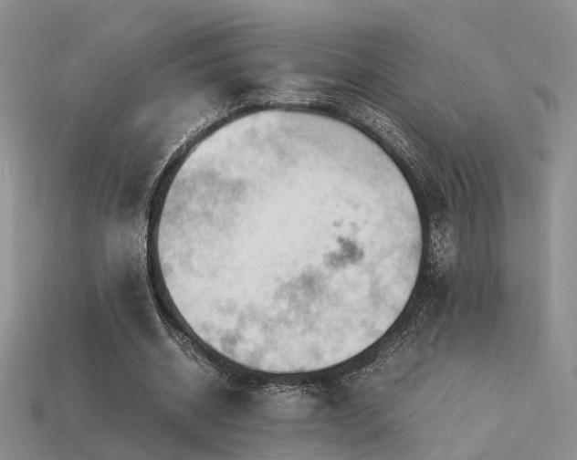 X0000113590534200909181333