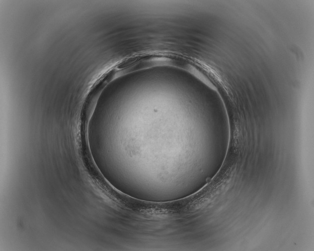 X0000113590535200909181333