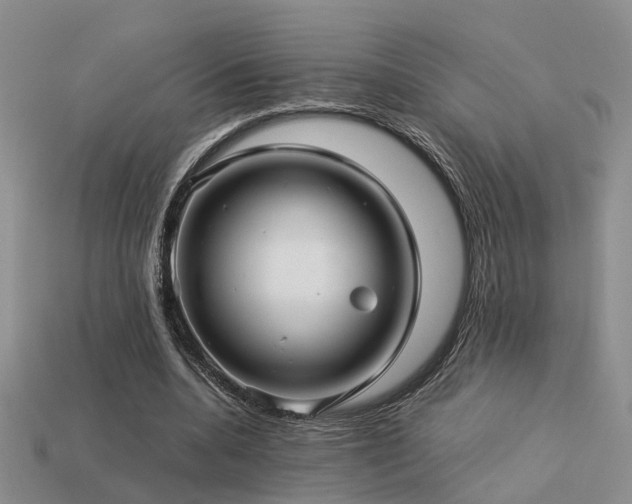 X0000113590536200909181334