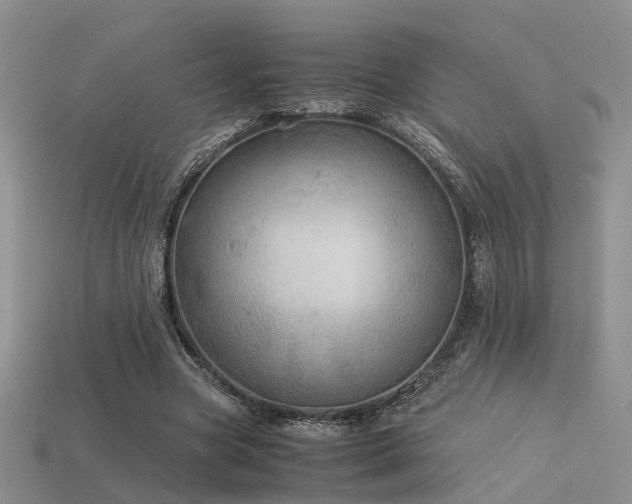 X0000113590537200909181334