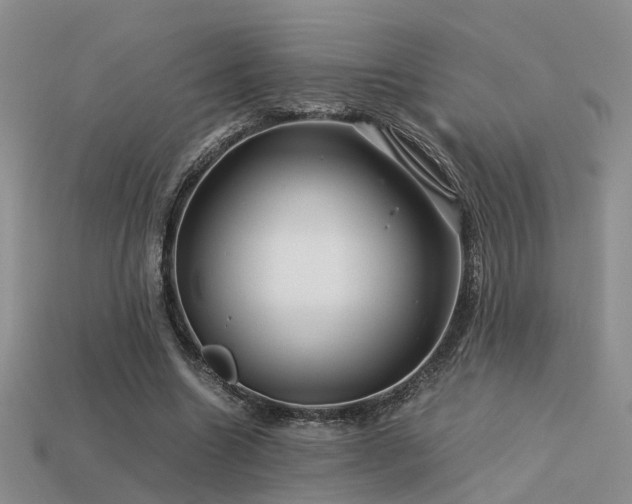 X0000113590538200909181334