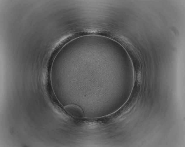 X0000113590540200909181334