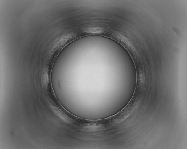 X0000113590541200909181334